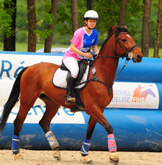 Compétition Match Equipe horse ball amateurs chevaux centre equestre de la dame blanche chaponost lyon rhone
